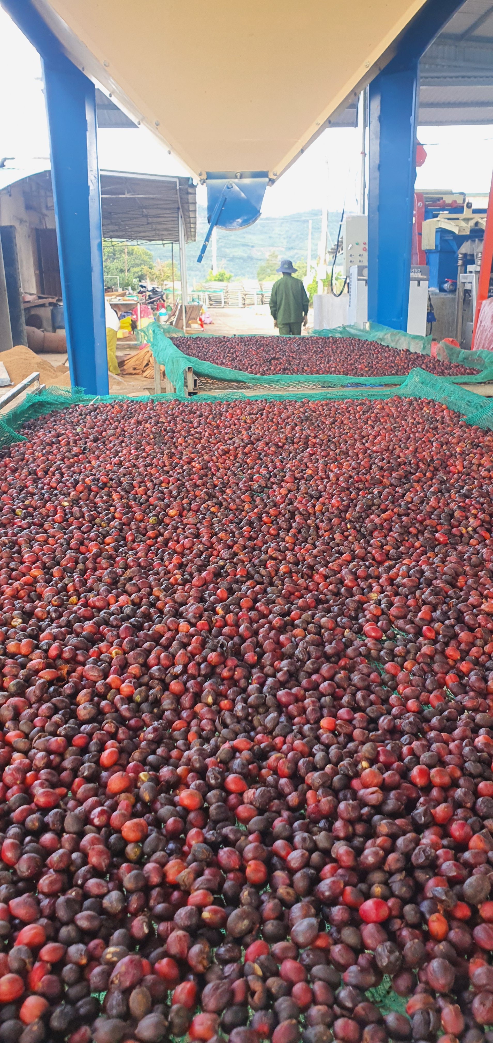 Nông Trại Núi Lu